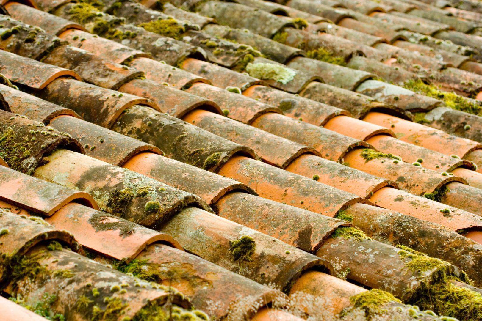 Démoussage de toiture Rochefort